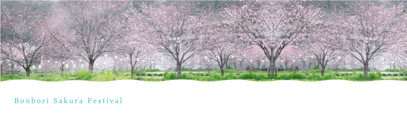 越知町ぼんぼり桜まつり